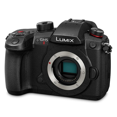 Panasonic Lumix Dc-Gh5'Iı Gövde